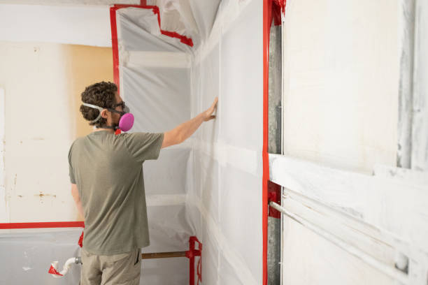 Best Mold Odor Removal Services  in Harrisburg, OR