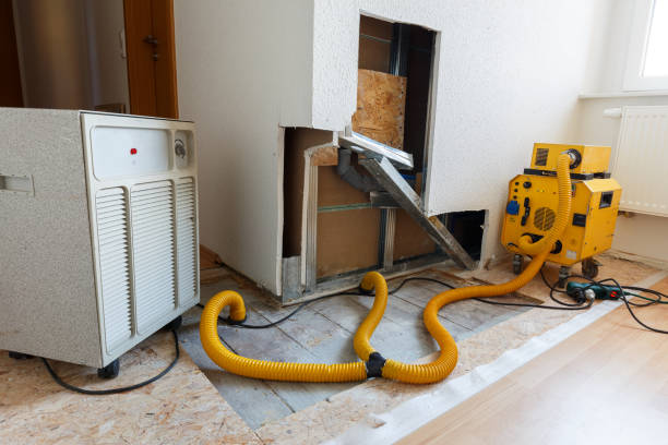 Mold Documentation for Insurance Claims in Harrisburg, OR