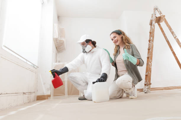 Best Black Mold Removal  in Harrisburg, OR